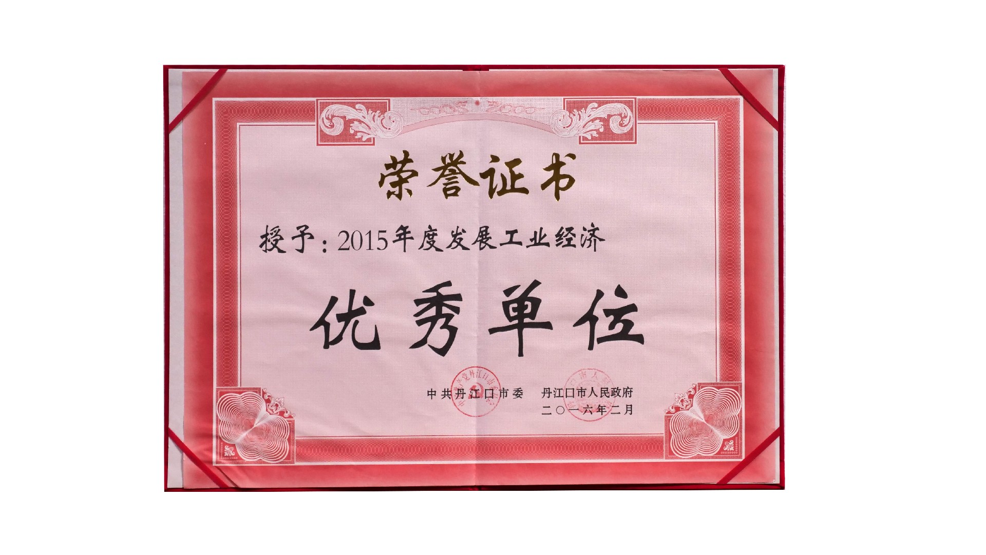 （生物）2015年度發(fā)展工業(yè)經(jīng)濟優(yōu)秀單位.jpg