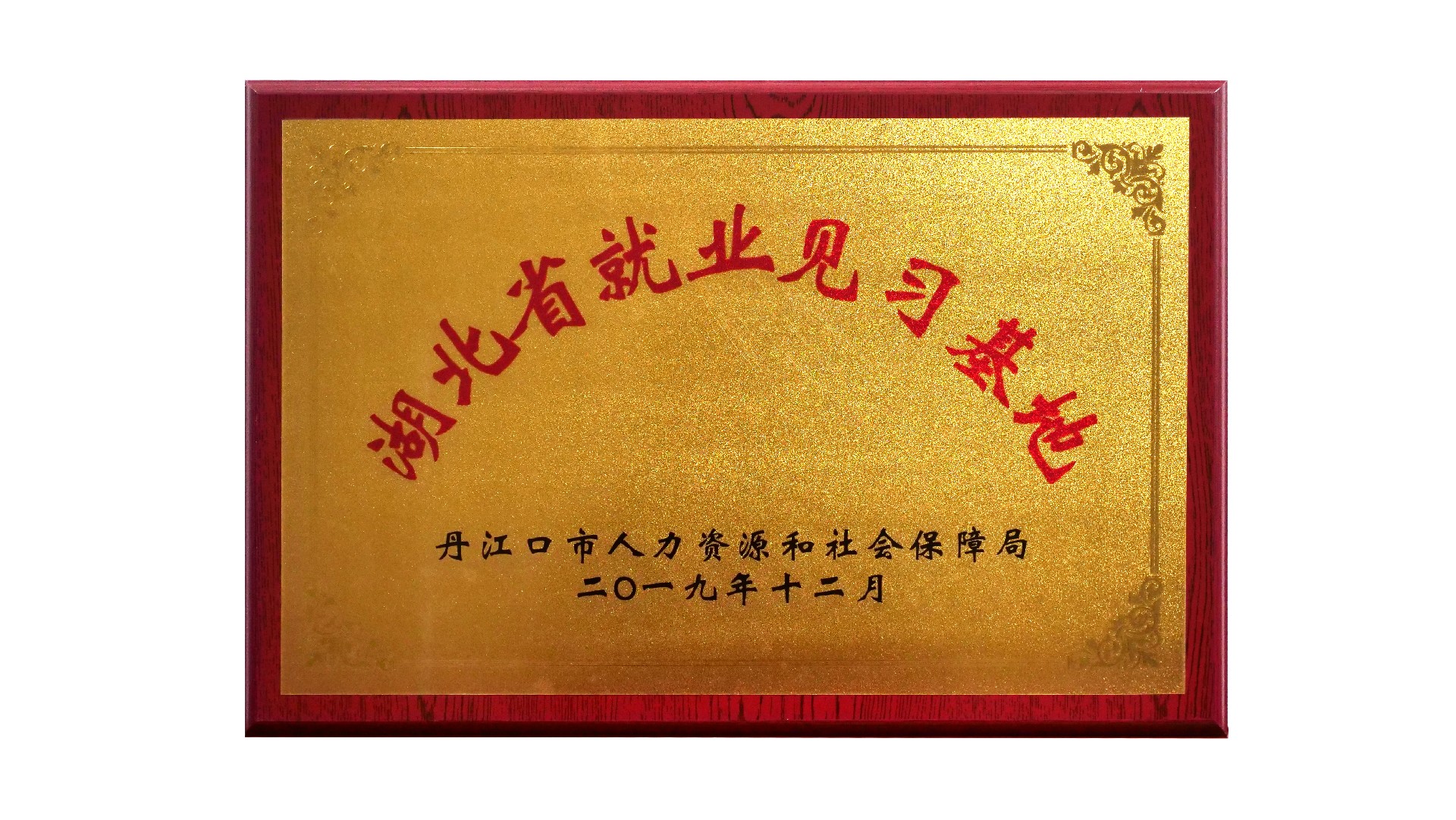（生物）湖北省就業(yè)見(jiàn)習(xí)基地201912.jpg